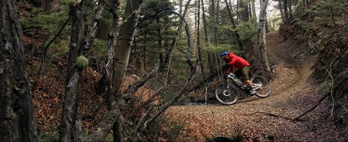 Mountain bike online falls