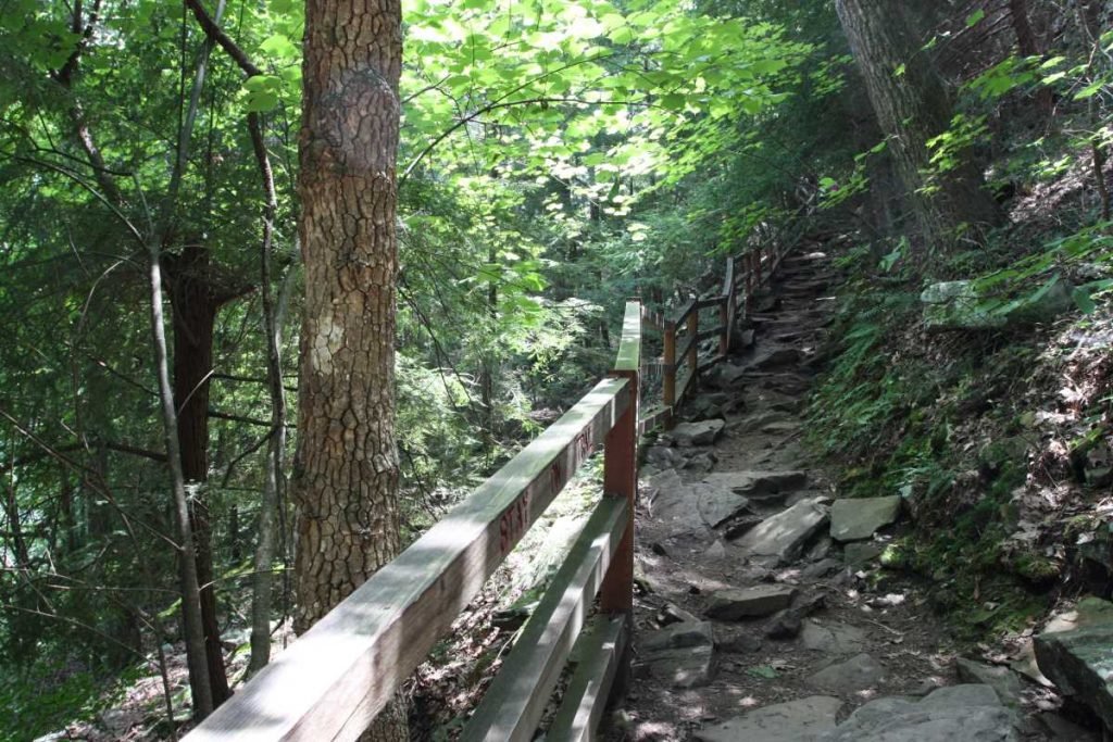 A Fall Creek Falls Trail