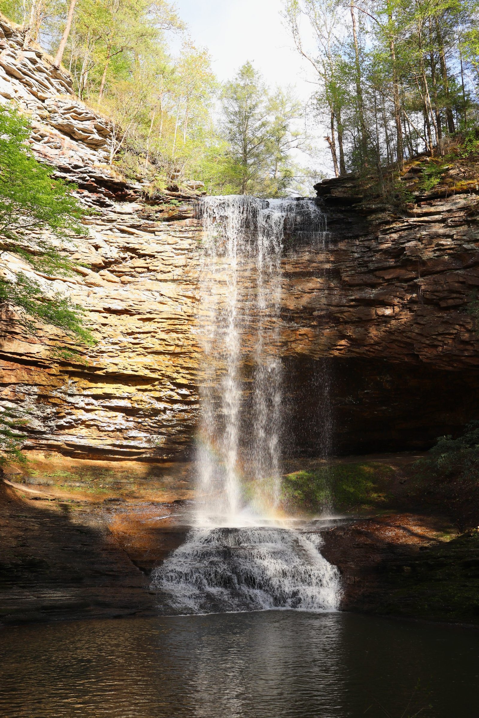 Piney Creek Falls descending through its layered-rock gorge at Fall Creek Falls State Park