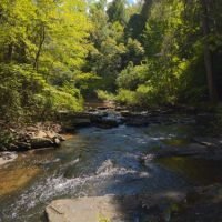 Piney Creek Falls - Fall Creek Falls Guide