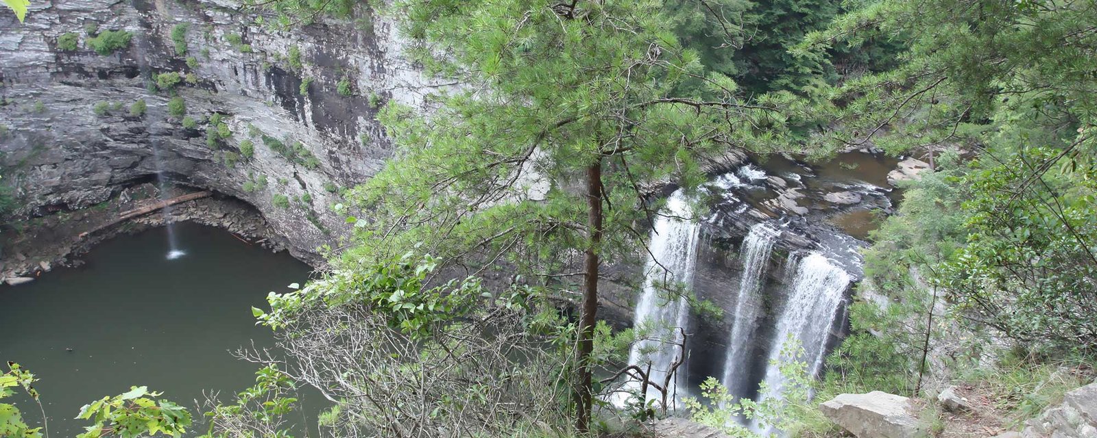 Cane Creek Falls and its forested gorge at Fall Creek Falls State Park