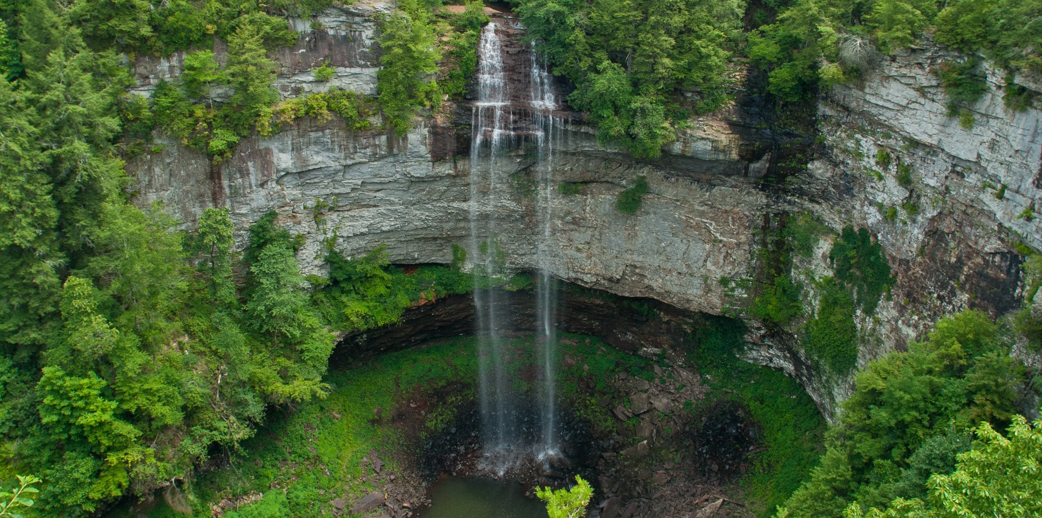Woodland Trail Fall Creek Falls Guide 4375
