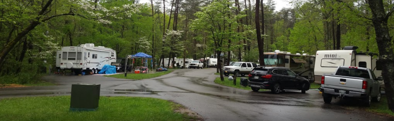 Campsites in the wooded campground at Fall Creek Falls State Park