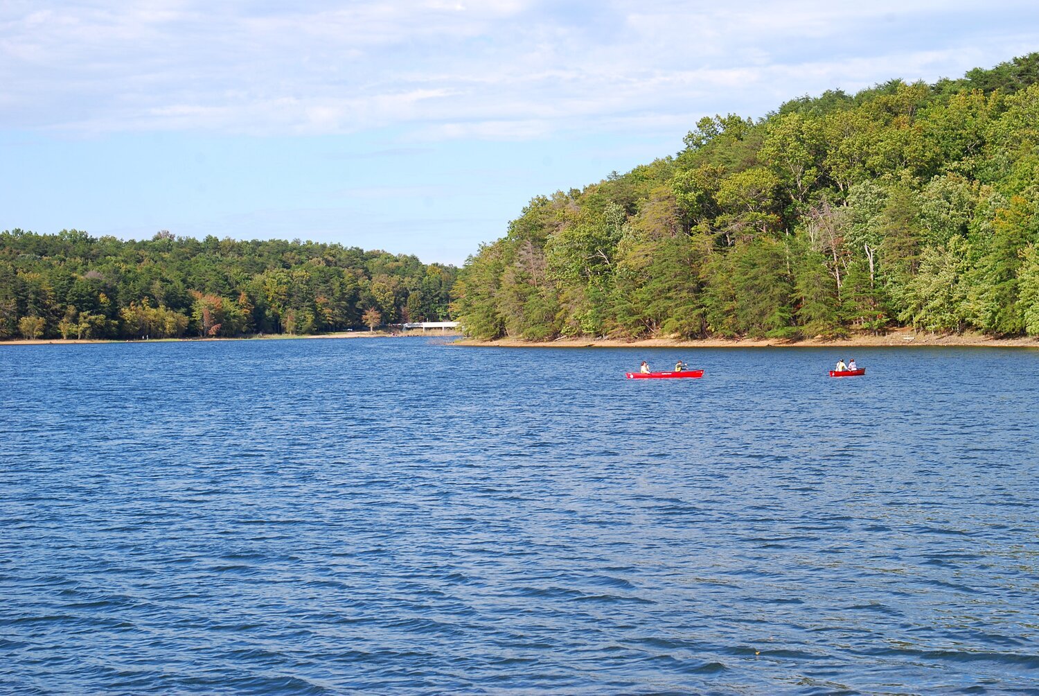 A Birdwatcher’s Paradise